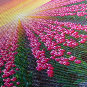 Tulipán mező és a nap képe (90x60 cm)