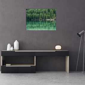 Kép - Tűlevelű a tónál (70x50 cm)