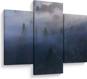 Kép - erdő a ködben, Carpathians, Ukraina (90x60 cm)