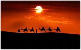 Fotótapéta flizelina 520x318 Karaván nyugat