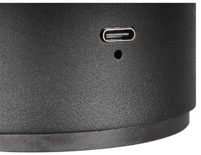 Matt fekete USB LED fali lámpa Davey – Trio