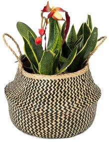 Zic Zac tengerifű tárolókosár, ⌀ 35 cm - Compactor