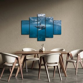 Kép - Delfin a felszín alatt (150x105 cm)