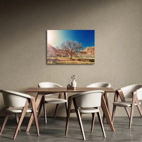 Fa a sivatagban képe (70x50 cm)