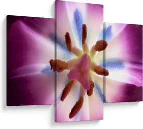 Kép - Tulipán virág részletesen (90x60 cm)