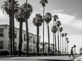 Poszter 40x30cm Séta a pálmafák árnyékában