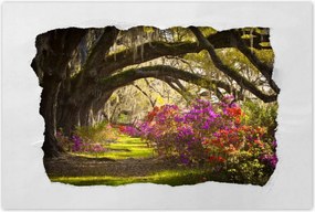 Poszterek 120x80 Virágok a parkban