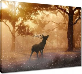 Vászonkép 50x40 Szarvas az erdőben