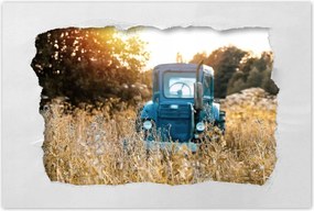 Poszterek 60x40 Antik traktor a réten