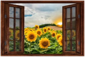 Poszterek 120x80 Tájkép Napraforgók