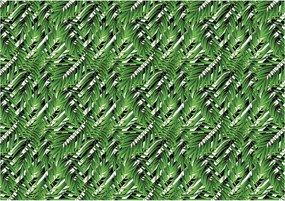 Fotótapéta Trópusi pálmafák a nappaliba vinil természet 208x146 +ragasztó