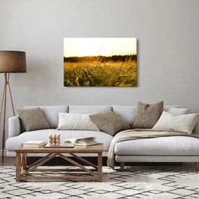 Harmatos fű képe (90x60 cm)
