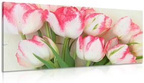 Kép tulipánok tavaszi lehelettel - 100x50
