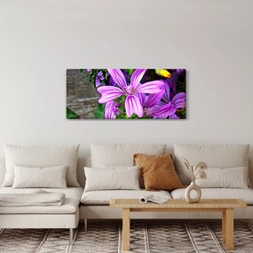 Kép - réti virágok (120x50 cm)