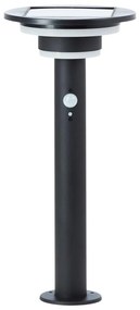 Brilliant - LED Napelemes lámpa érzékelővel GARVINA LED/3W/3,7V 45 cm IP44 fekete