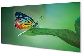 Üvegképek Színes pillangó levél 120x60cm
