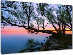Vászonkép 90x60 Sziklák Fa Tó