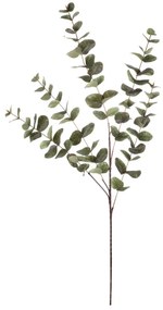 Eukaliptusz - mű ág, nagy levelek, 100 cm, zöld