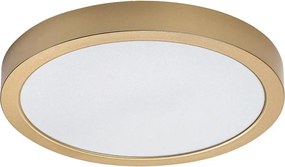 Rabalux 75079 - LED fürdőszobai mennyezeti lámpatest SHAUN PLUS 30W/230V átm. 30 cm IP44 aranyszínű