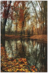 Poszterek 80x120 Őszi táj Tájkép