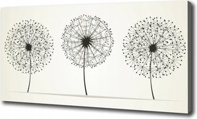 Canvas falikép Pitypangok 120x60 cm