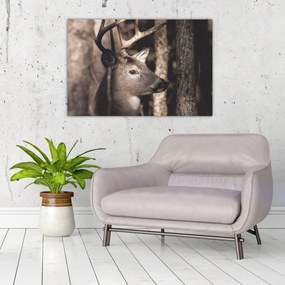 Kép - Szarvas az erdőben (90x60 cm)