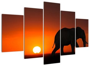 Elefánt képe naplementekor (150x105 cm)