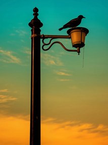 Poszter 75x100cm Nyugat a Lámpásban