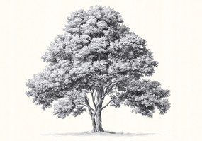 Fotótapéta Fa Szürke Bézs Természet Falra Hálószoba Nappali 200x140