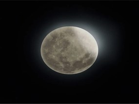 Világosszürke LED gyerek mennyezeti lámpa akrilüveg búrával ø 40 cm Lunar – Trio