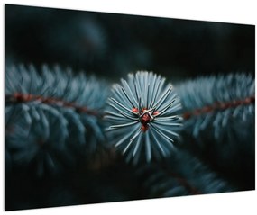 Egy tűlevelű fa gallyának képe (90x60 cm)