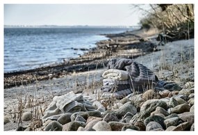 Krémszínű pamut fürdőlepedő 70x140 cm Inu – Zone