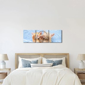 Kép - Alvó cicák (órával) (90x30 cm)