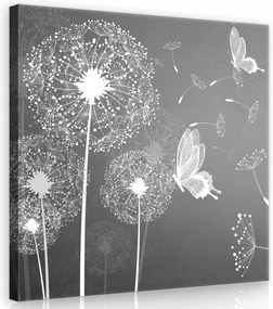 Vászonkép 80x80 Finom pitypang grafika a hálószobába Skand stílus