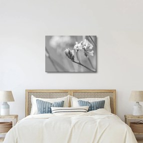 Kép - Virágzó virág (70x50 cm)