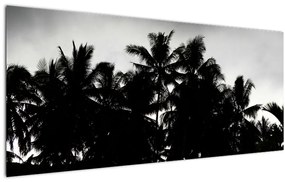 A fekete-fehér pálmafák képe (120x50 cm)