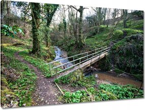 Vászonkép 90x60 Híd a parkban