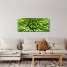 Kép - Makro kép egy növényről (120x50 cm)