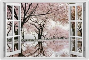 Poszterek 60x40 Fa Fák Kilátás