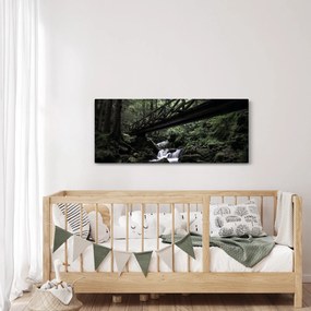 Fekete erdő képe (120x50 cm)