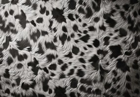 Fotótapéta - Foltos bunda (147x102 cm)