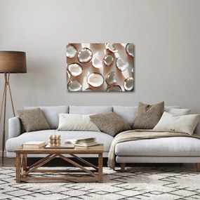 Kép - Kókuszdiók (70x50 cm)