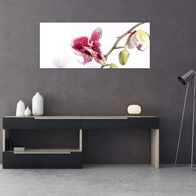 Orchidea virág képe (120x50 cm)