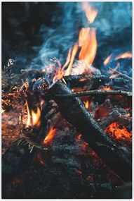 Poszterek 60x90 Tűz az éjszakában az erdőben