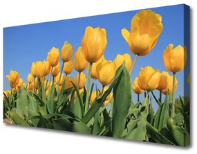 Vászonkép Tulipán virágok Plant 125x50 cm