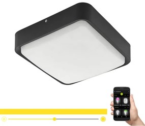 Eglo 97295 - LED Dimmelhető fürdőszobai mennyezeti lámpa PIOVE-C LED/14,6W/230V
