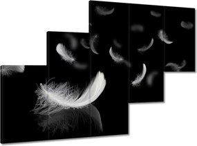 Képek 150x105 Hulló fehér tollak