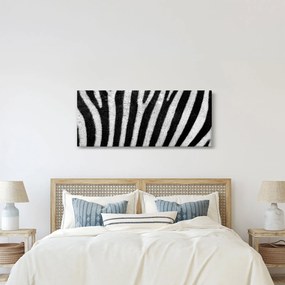 Kép egy zebra bőrről (120x50 cm)
