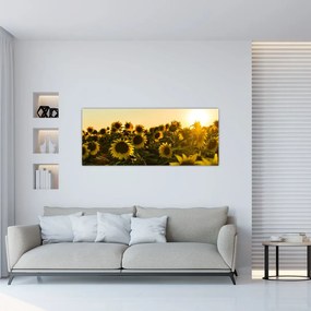 A napraforgó mező képe (120x50 cm)