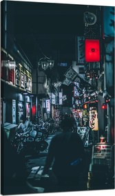 Vászonképek Építészet Japán Tokió 70x120